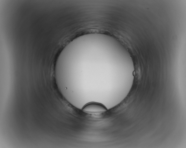 X0000114590665200910191035