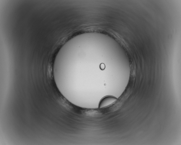 X0000114590669200910191035