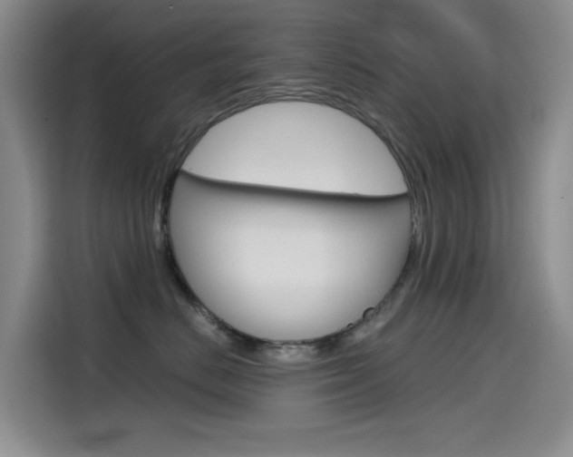 X0000114590670200910191035