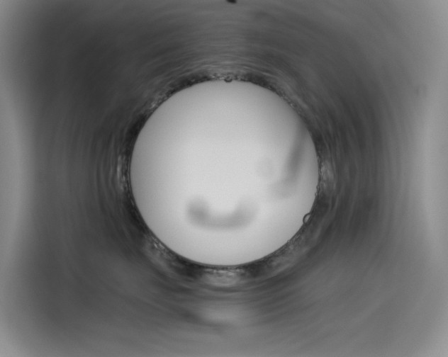 X0000114590671200910191035