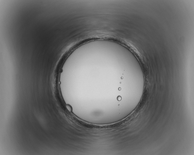 X0000114590679200910191034