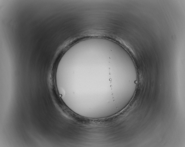 X0000114590682200910191034