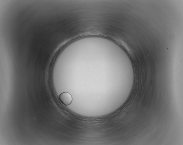 X0000114590684200910191034