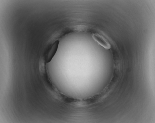 X0000114590696200910191034