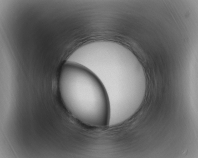 X0000114590697200910191034