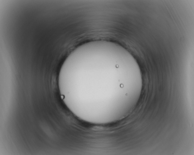 X0000114590699200910191034