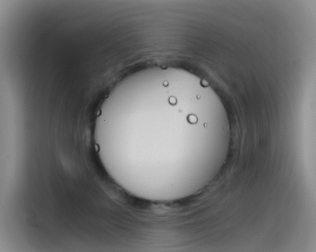 X0000114590703200910191034