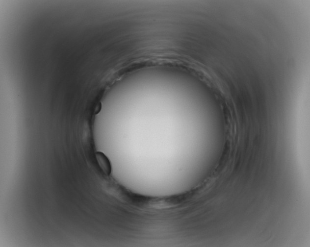 X0000114590704200910191034