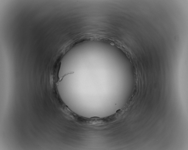 X0000114590716200910191034