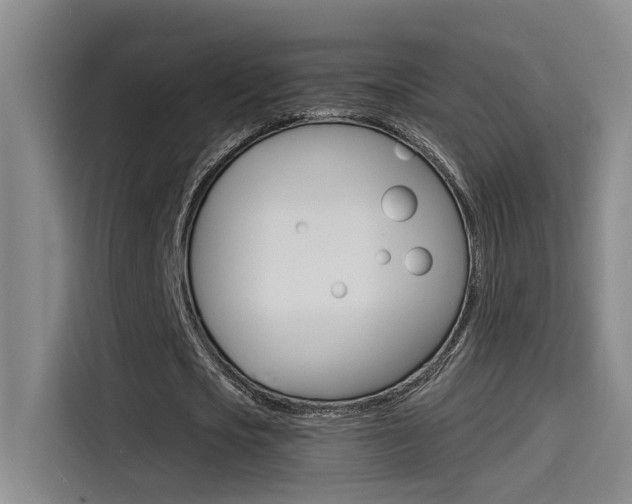 X0000114590721200910191033