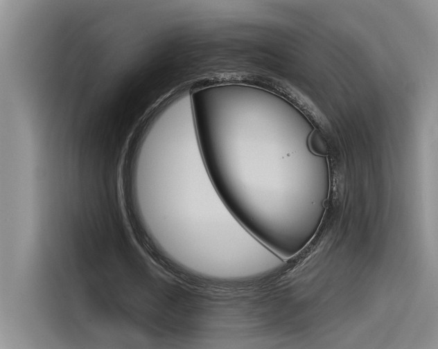 X0000114590722200910191033