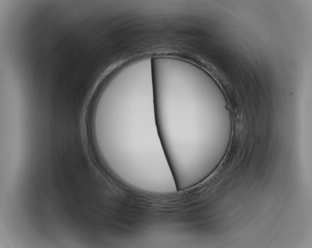 X0000114590727200910191033