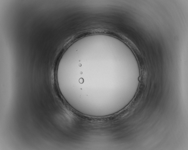 X0000114590729200910191033