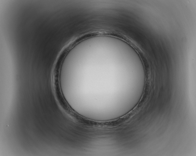 X0000114590730200910191033