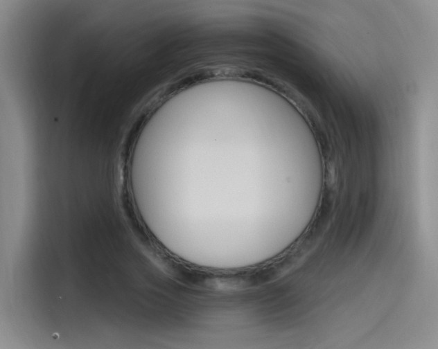 X0000114590733200910191033