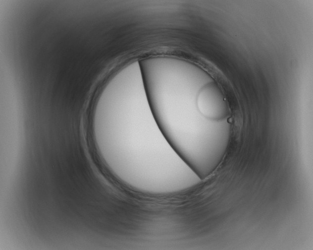 X0000114590734200910191033