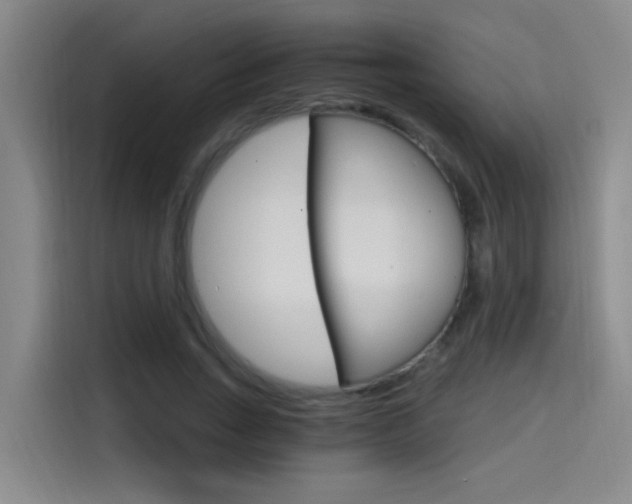 X0000114590735200910191033