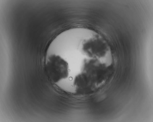X0000114590745200910191034