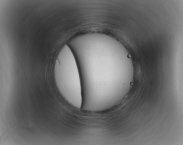 X0000114590746200910191034