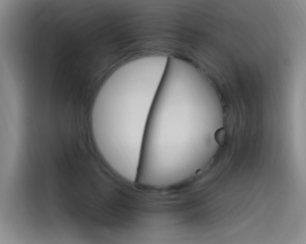X0000114590747200910191034