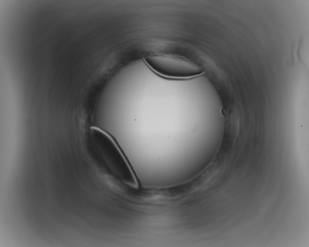 X0000114590750200910191034