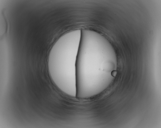 X0000114590751200910191034