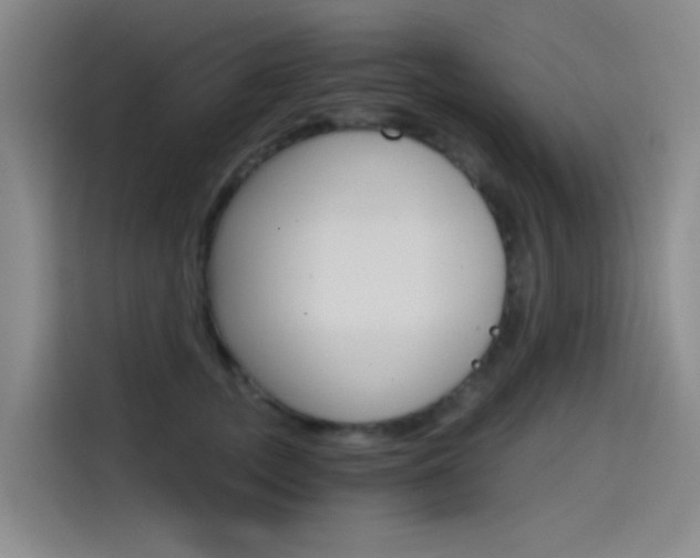 X0000114590755200910191034