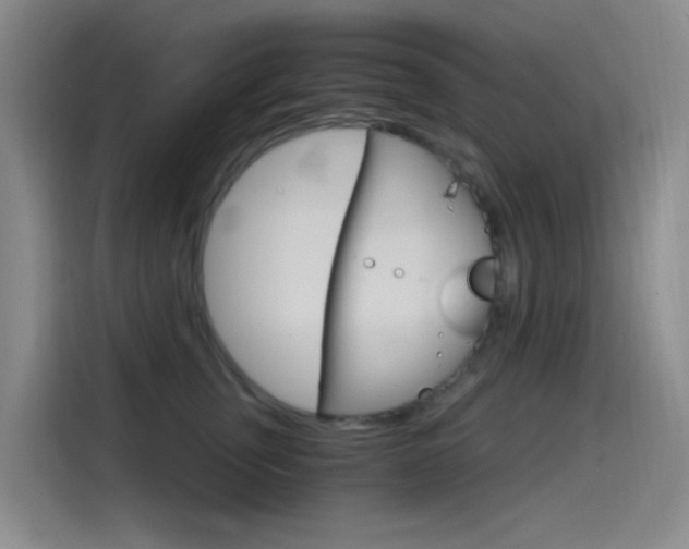 X0000114590759200910191034