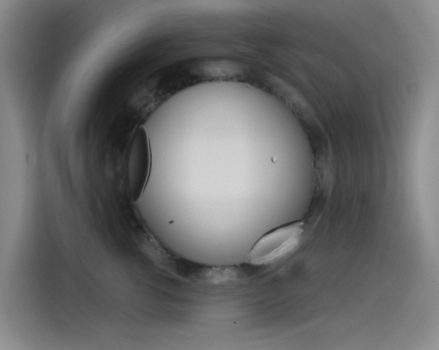X0000114590762200910191034
