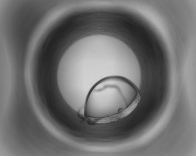X0000114590766200910191034