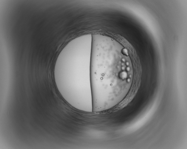 X0000114590767200910191034