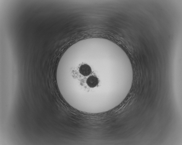 X0000114590769200910191033