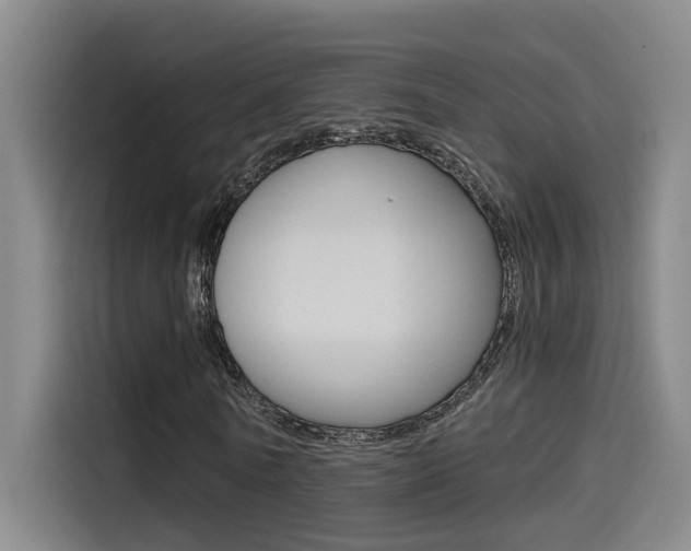X0000114590770200910191033