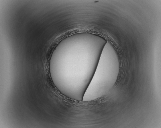 X0000114590773200910191033