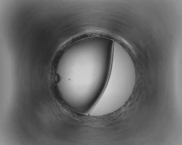 X0000114590775200910191033