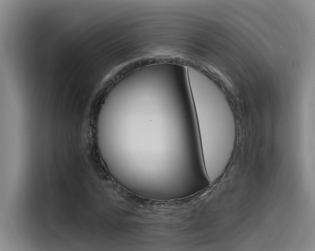 X0000114590776200910191033