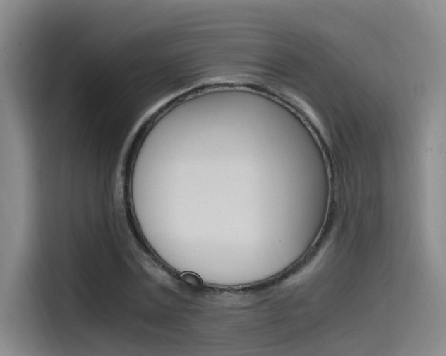 X0000114590779200910191033