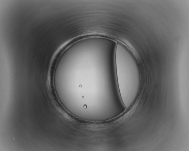 X0000114590780200910191033