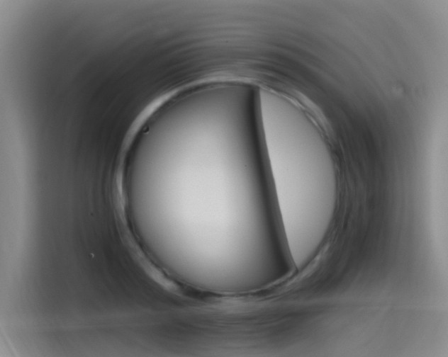 X0000114590796200910191033