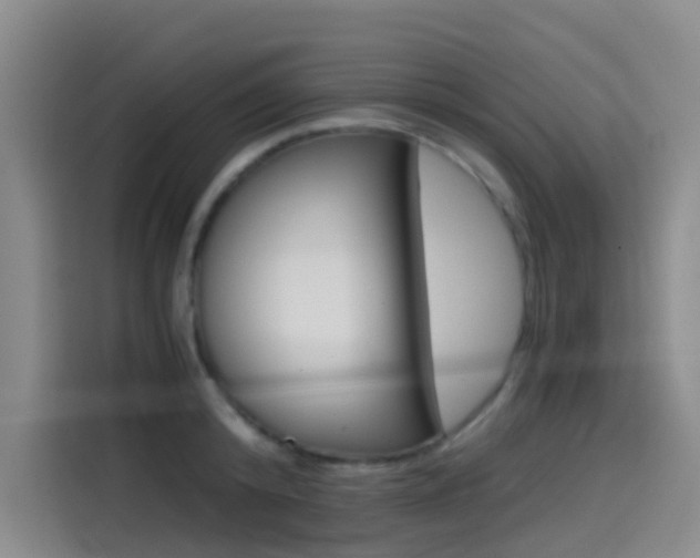 X0000114590800200910191033