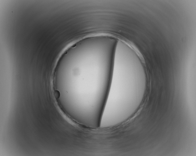 X0000114590805200910191033