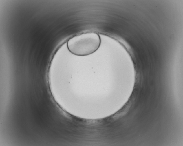 X0000114590807200910191033