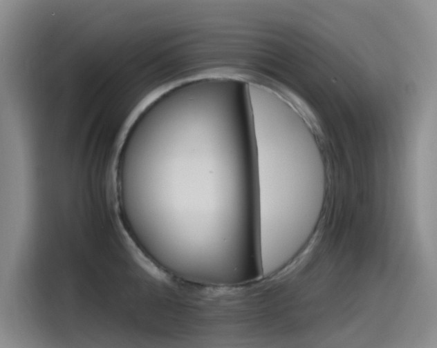X0000114590808200910191033