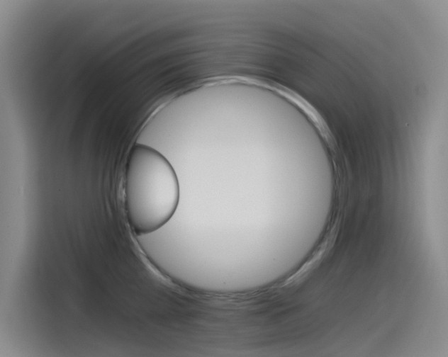 X0000114590809200910191033