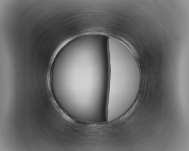 X0000114590812200910191033