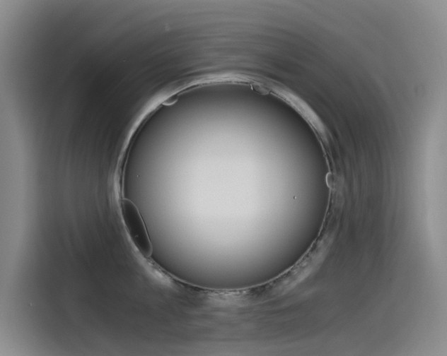 X0000114590813200910191033