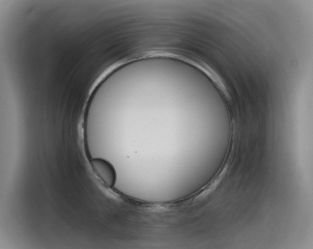 X0000114590814200910191033