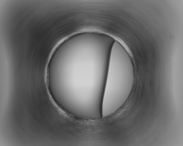 X0000114590815200910191033