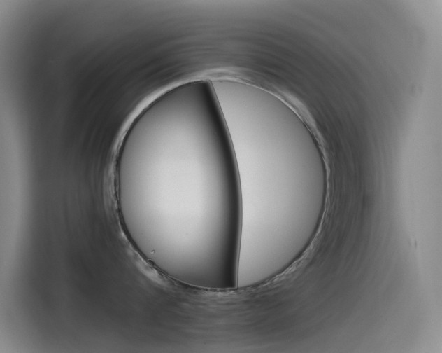 X0000114590816200910191033