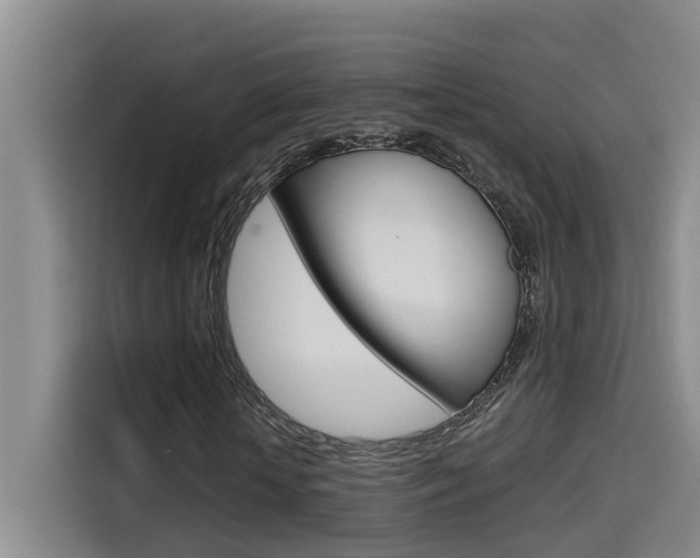 X0000114590818200910191032